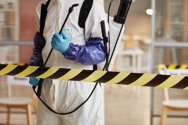 Professional Sewage Cleanup technician working in Brookline, MA